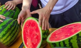 今日吃瓜 反差,反差萌食记