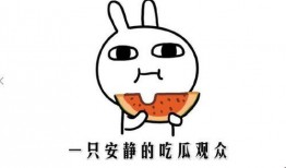 今日吃瓜 吃瓜是什么意思,网络流行语背后的趣味与内涵